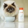 Milk for Cats