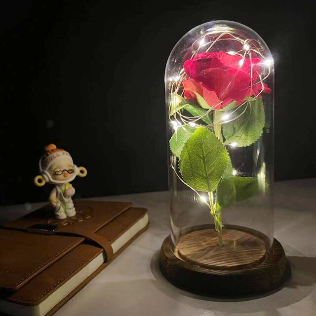 Rose éternel – Light' Mood