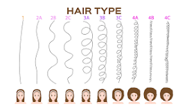 classification type de cheveux