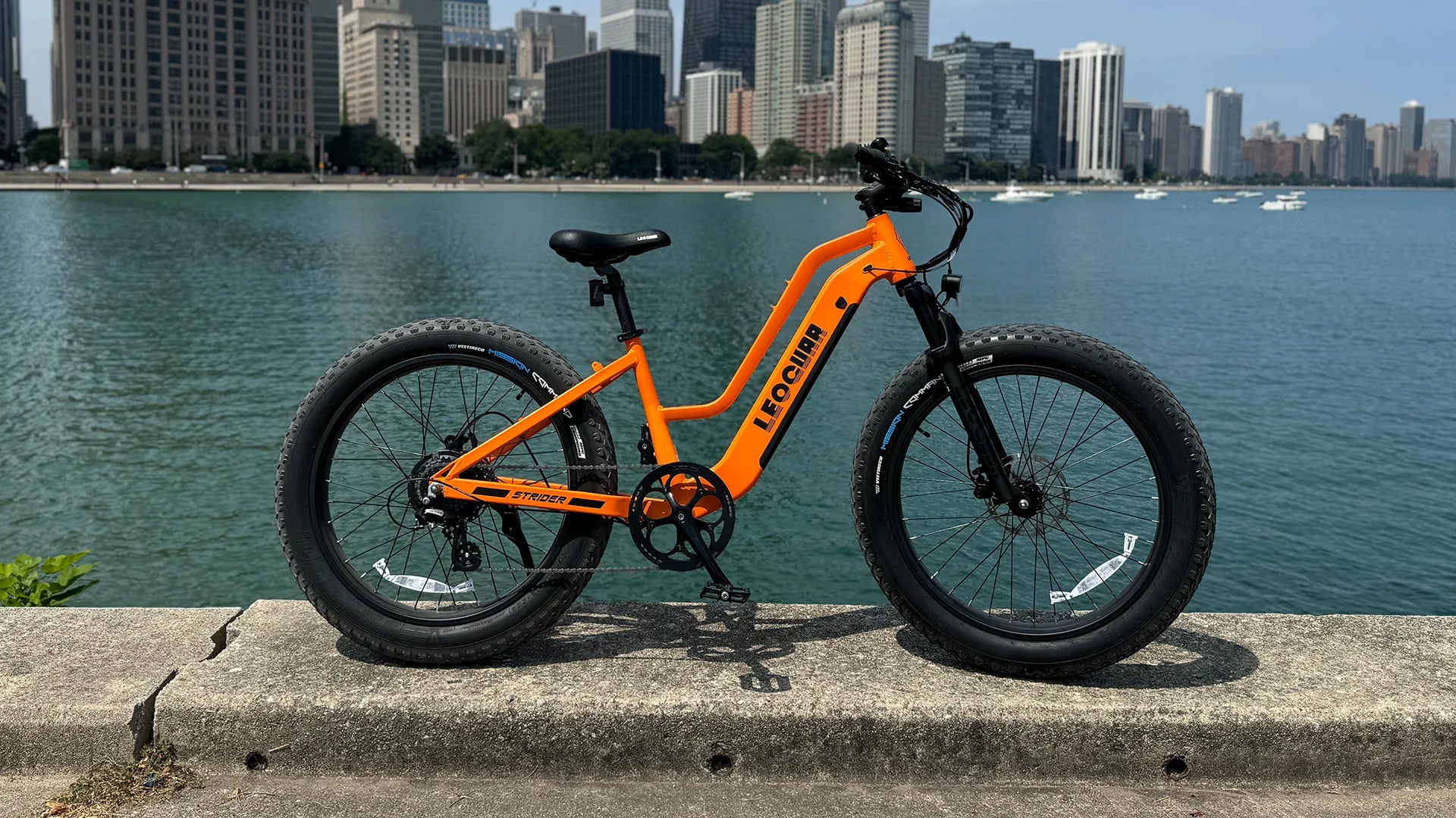 Waterproof Ebike