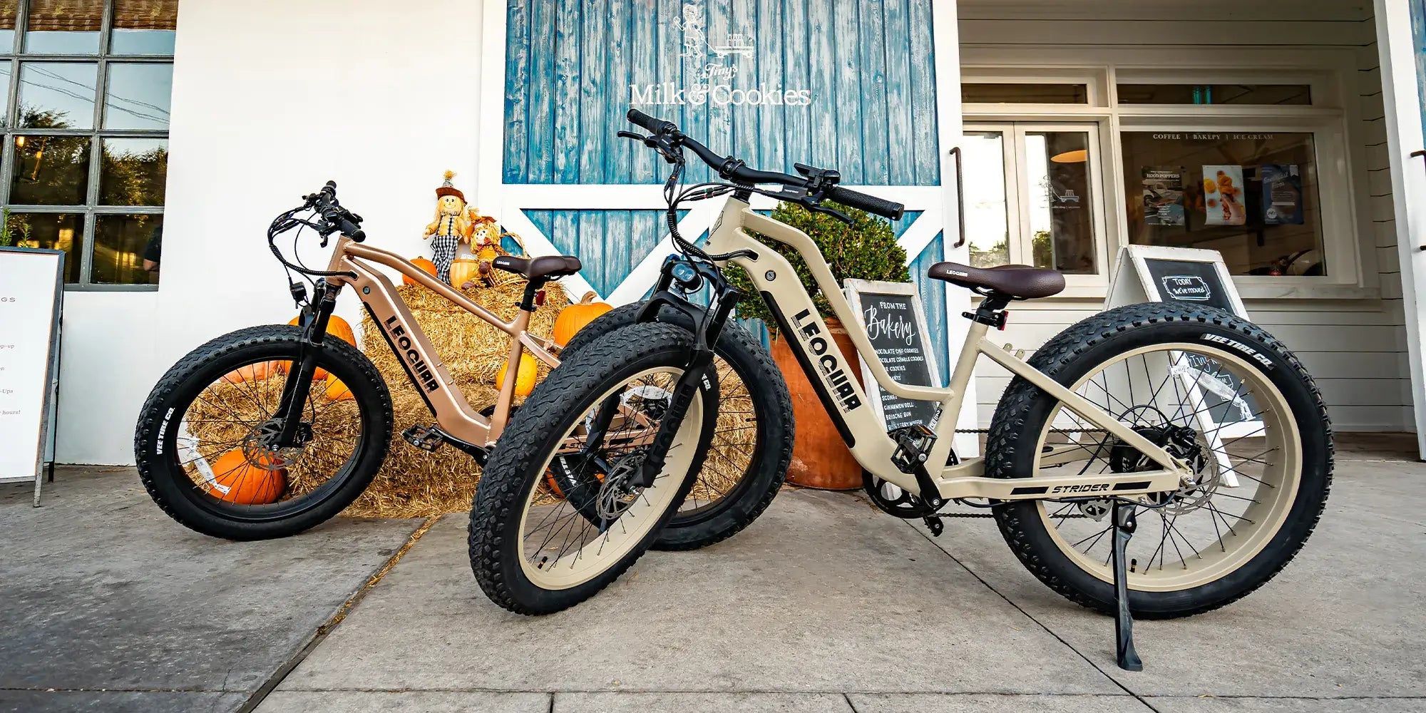 fastron st and so ebike
