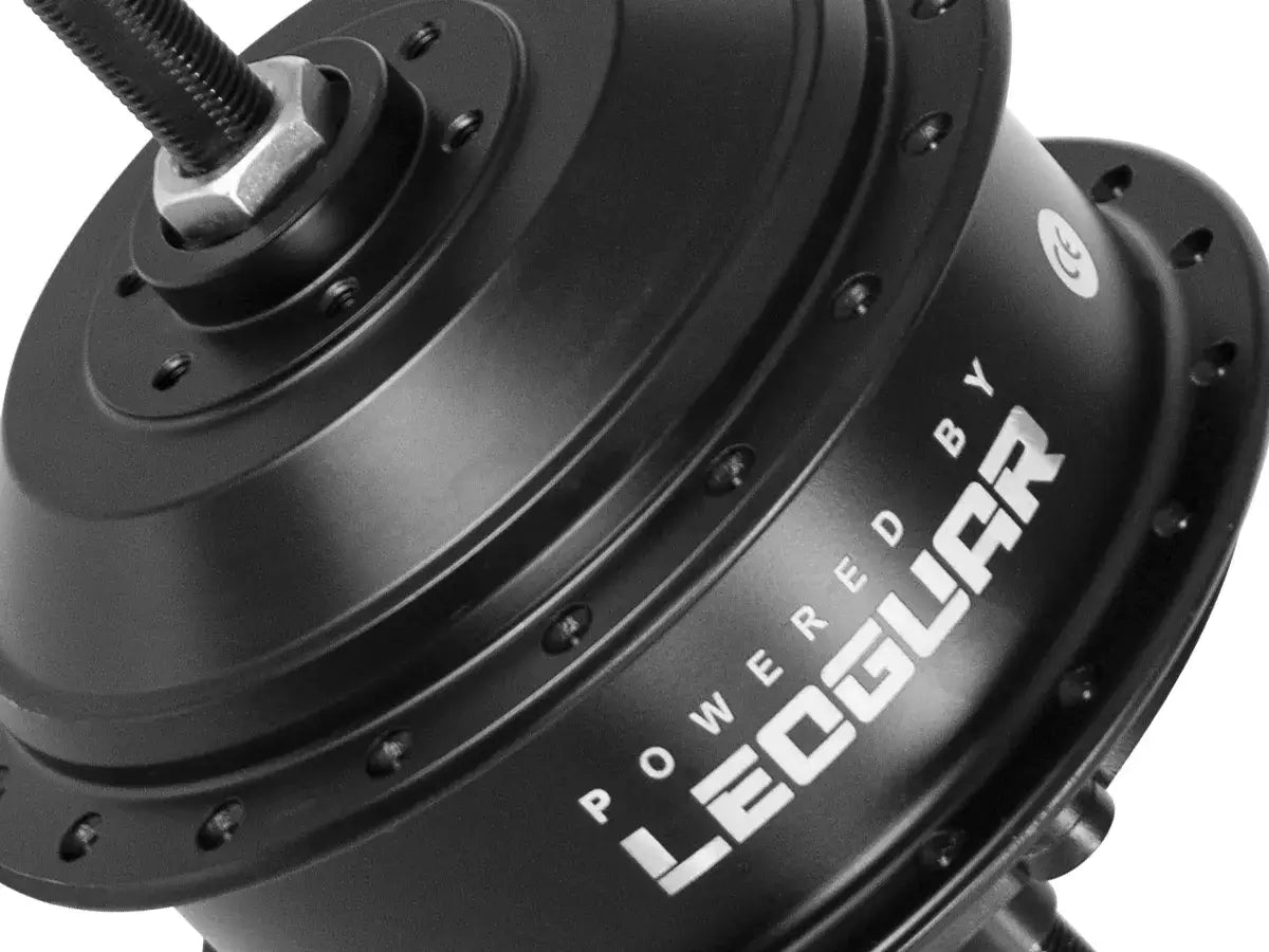 Leoguar Flippo motorised bike motor