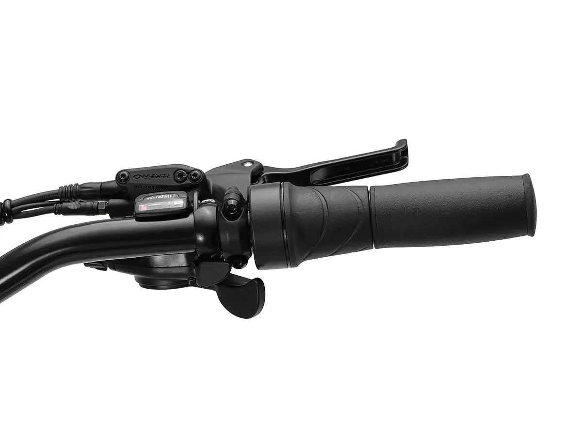 electric bike throttle