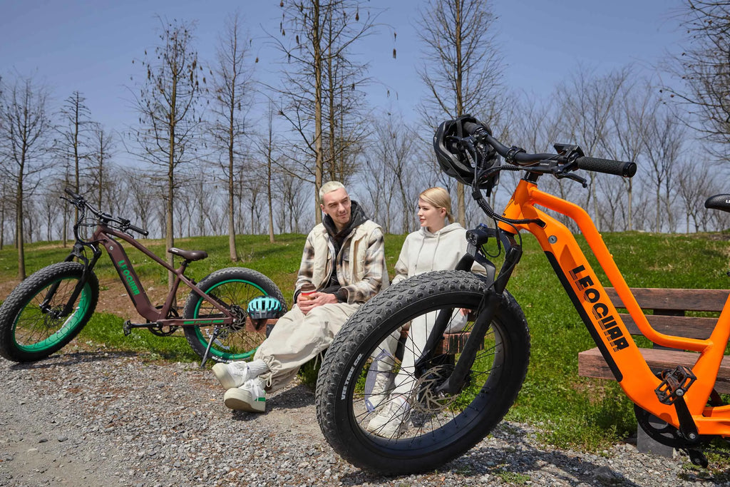 Fat Tire Motor Bikes