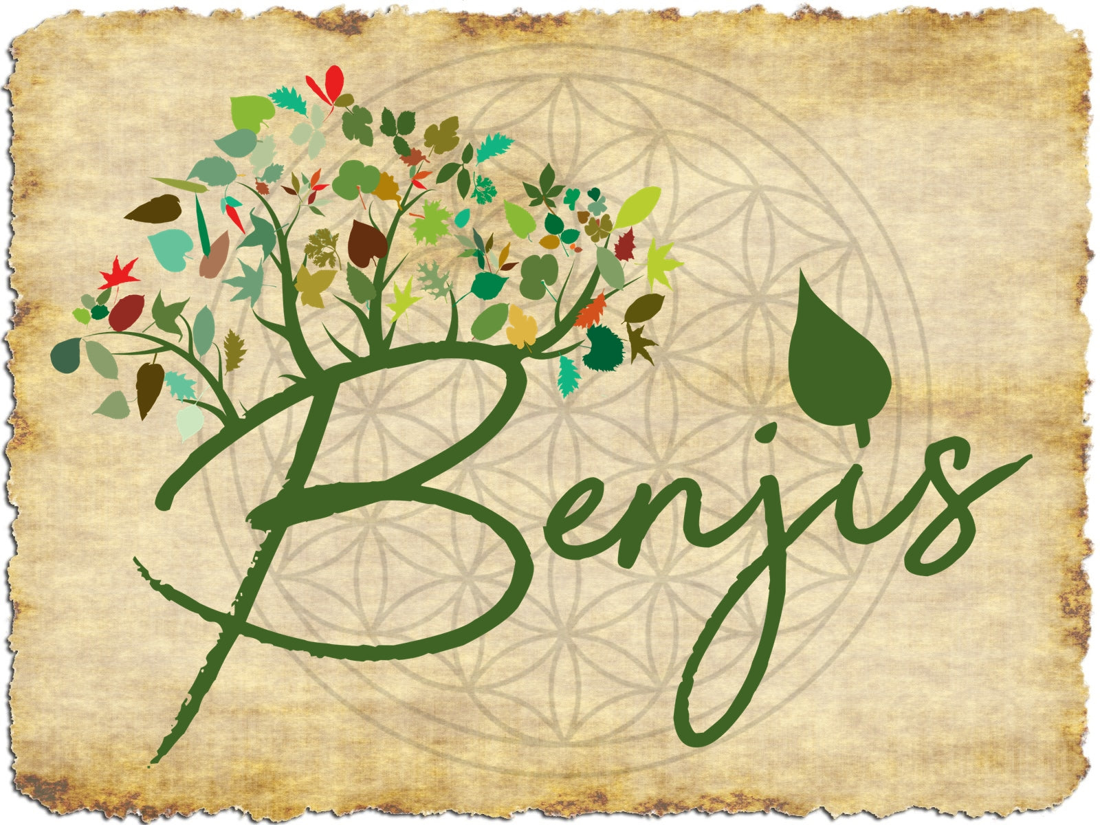 LOGO_BENJIS_www