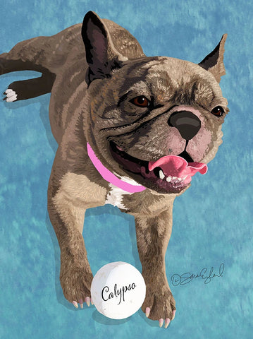 Frenchie Art by Sara England Designs - Calypso