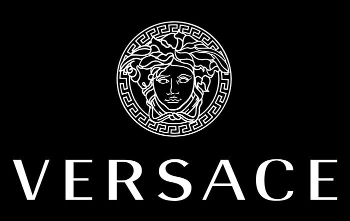 A screenshot of the logo for Versace swimwear for men's