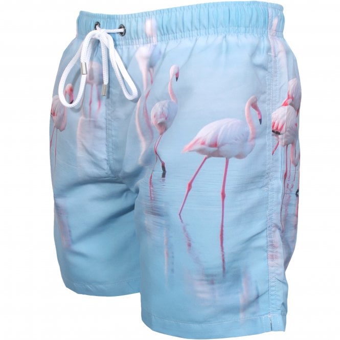 Lauderdale Flamingoes Photographic Print Swim Shorts, Blue