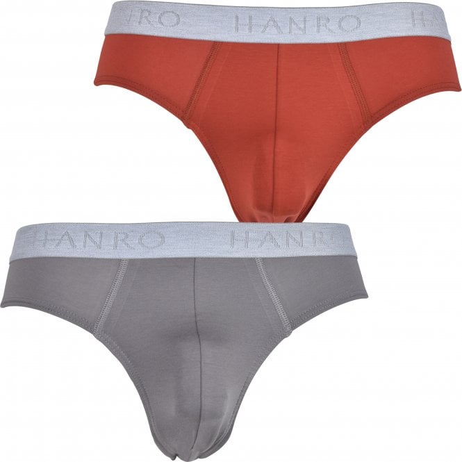 Cotton Essentials 2-Pack Briefs, Fresh Grey/Red Ochre