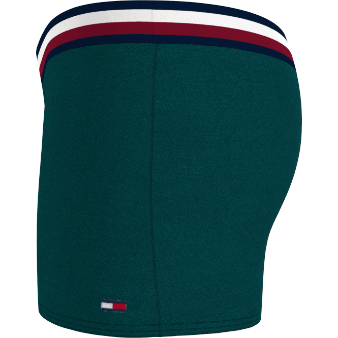 2-Pack Stripe Logo Boys Boxer Trunks, Deep Green / Navy