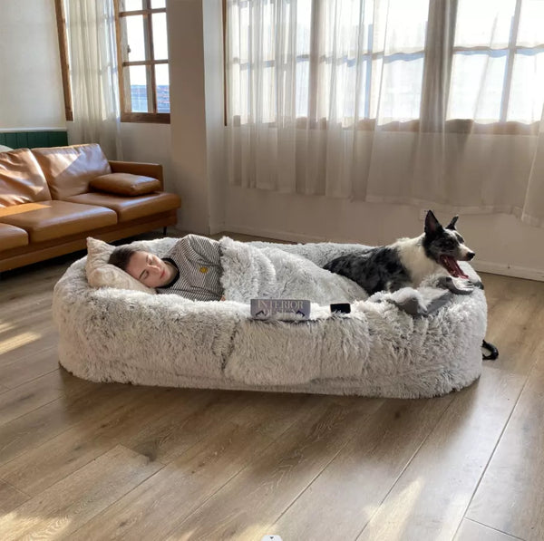 Human Sized Dog Beds are Real!