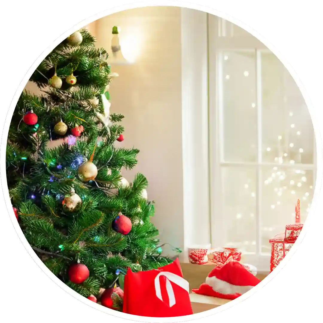 Christmas Morning - Best  Reed Diffuser - Urban Naturals