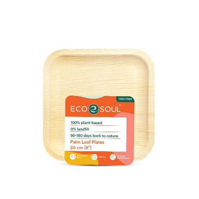 Buy  Basics Everyday Paper Plates 10.06 Inch, 600 count (4 pack of  150 Count), Previously Encore Online at desertcartINDIA