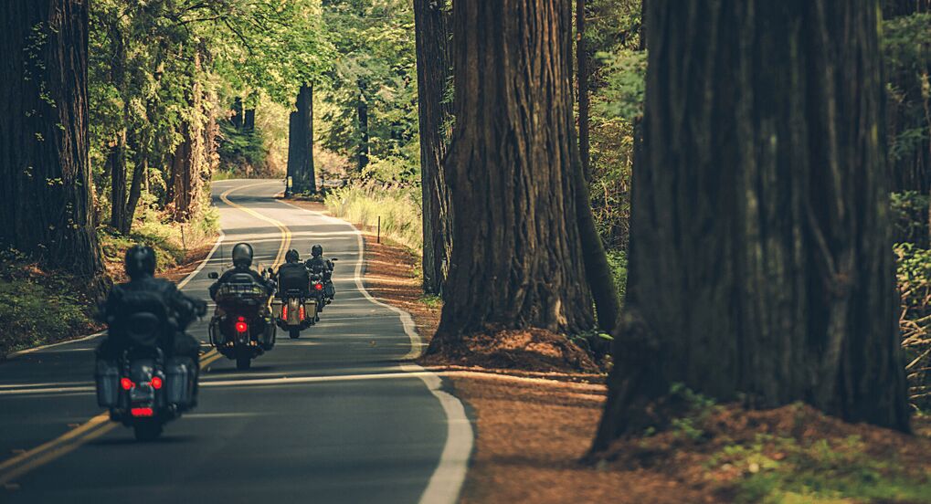 Redwood Highway