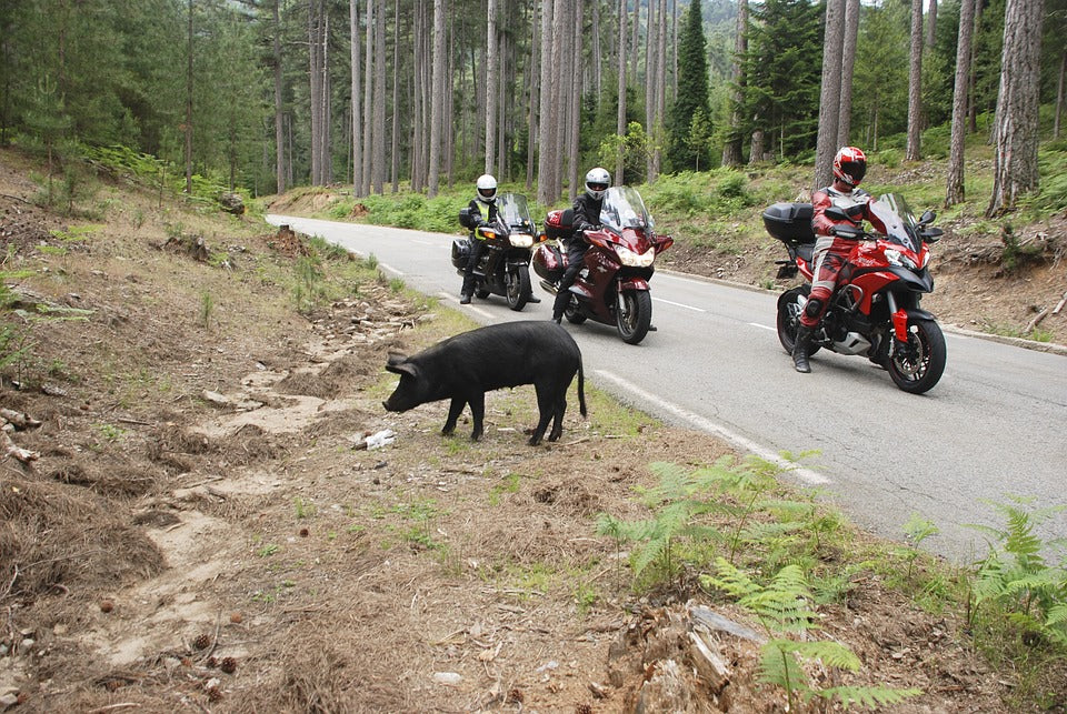 Make Phone Calls On Motorcycle