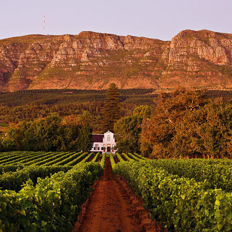 Cape Winelands