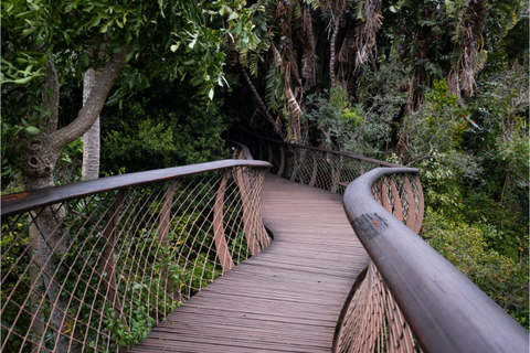 hiking trails in Cape Town