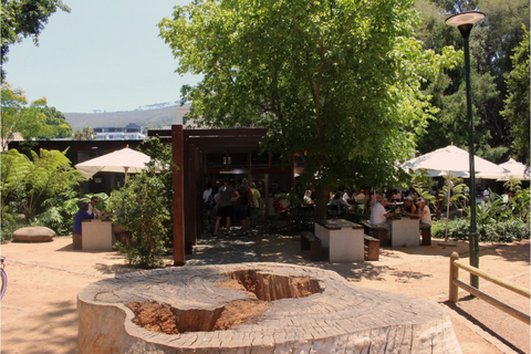 Brunch cafes in Cape Town