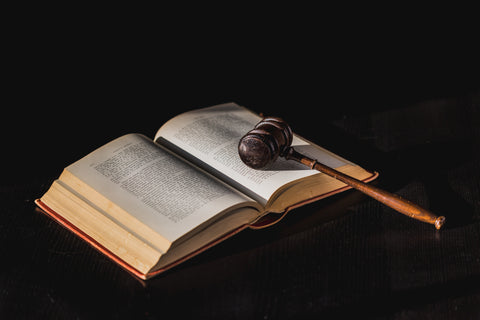 Open book with gavel resting on pages