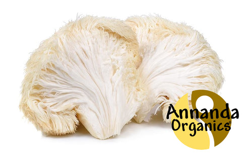 organic lion's mane mushroom from Annanda organics