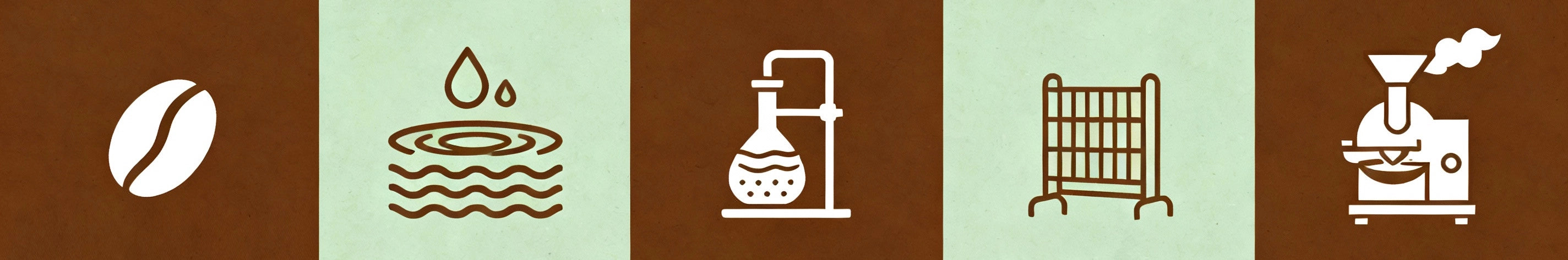 Способи декафеїнізації