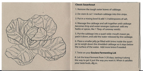 recipe for sauerkraut with handdrawn illustration of a cabbage