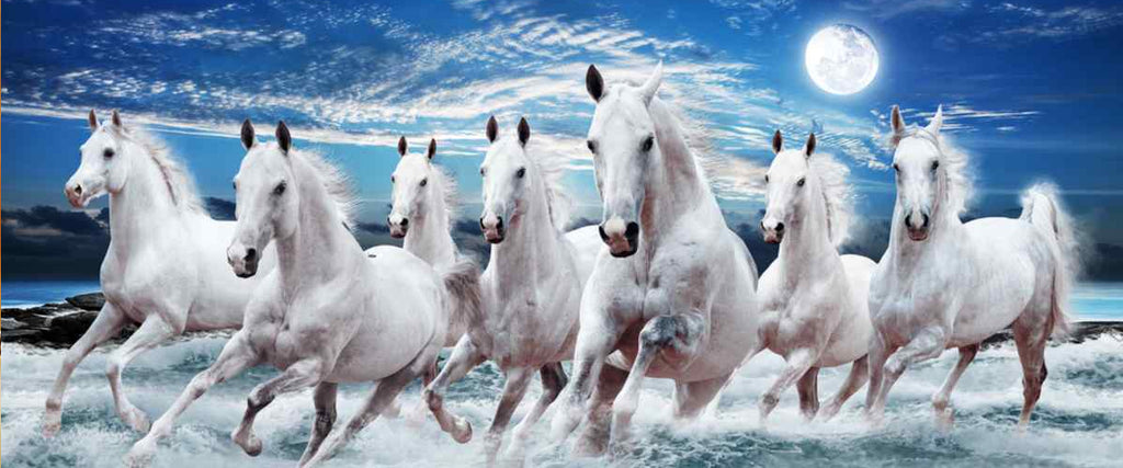 What Feng Shui Horse Brings to Your Life