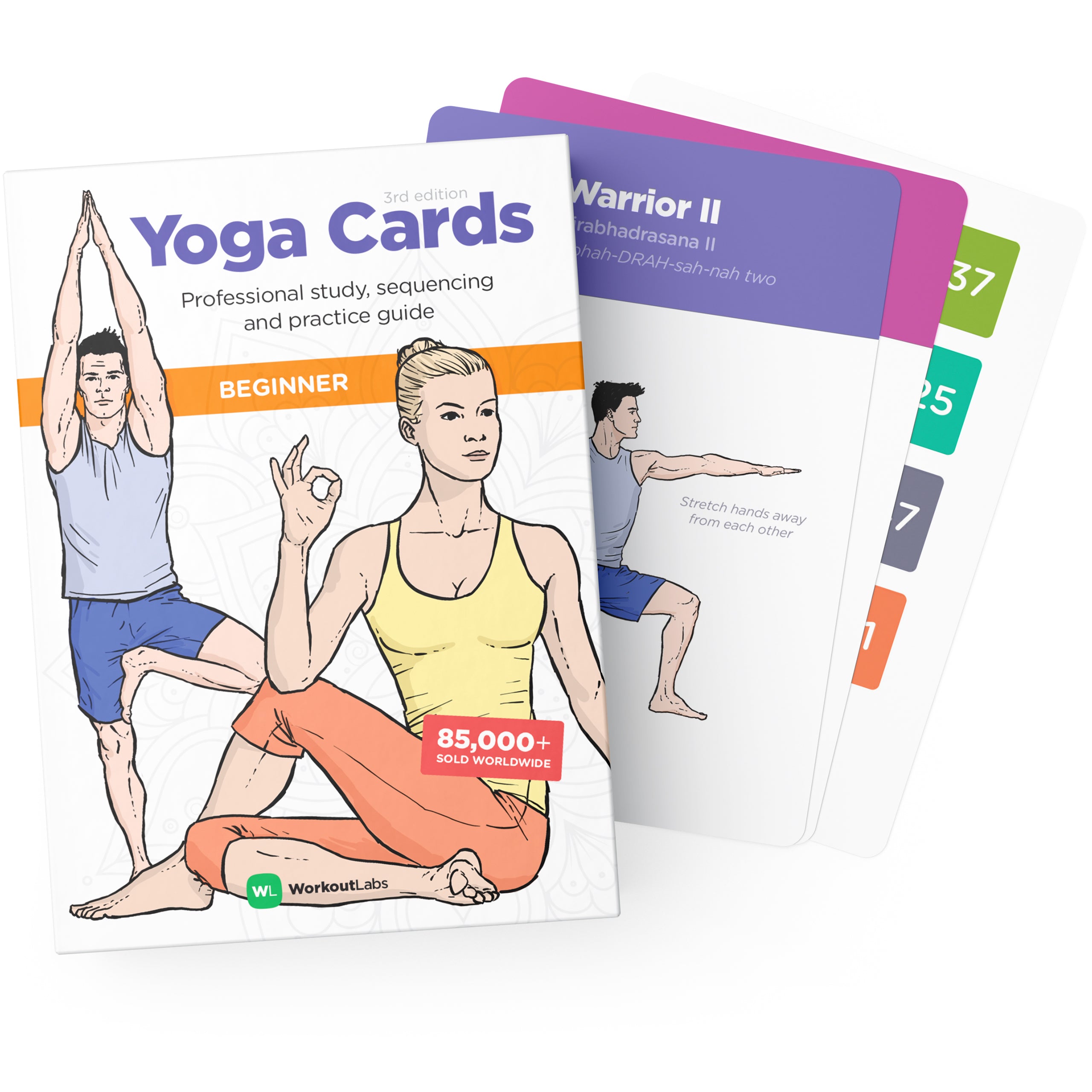 Beginner's Series, The Fastest Way to Learn Yoga