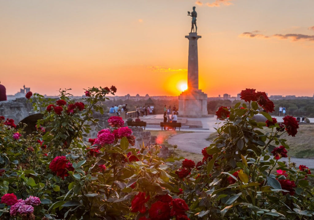 Beograd Blog - Zašto želimo u Beograd