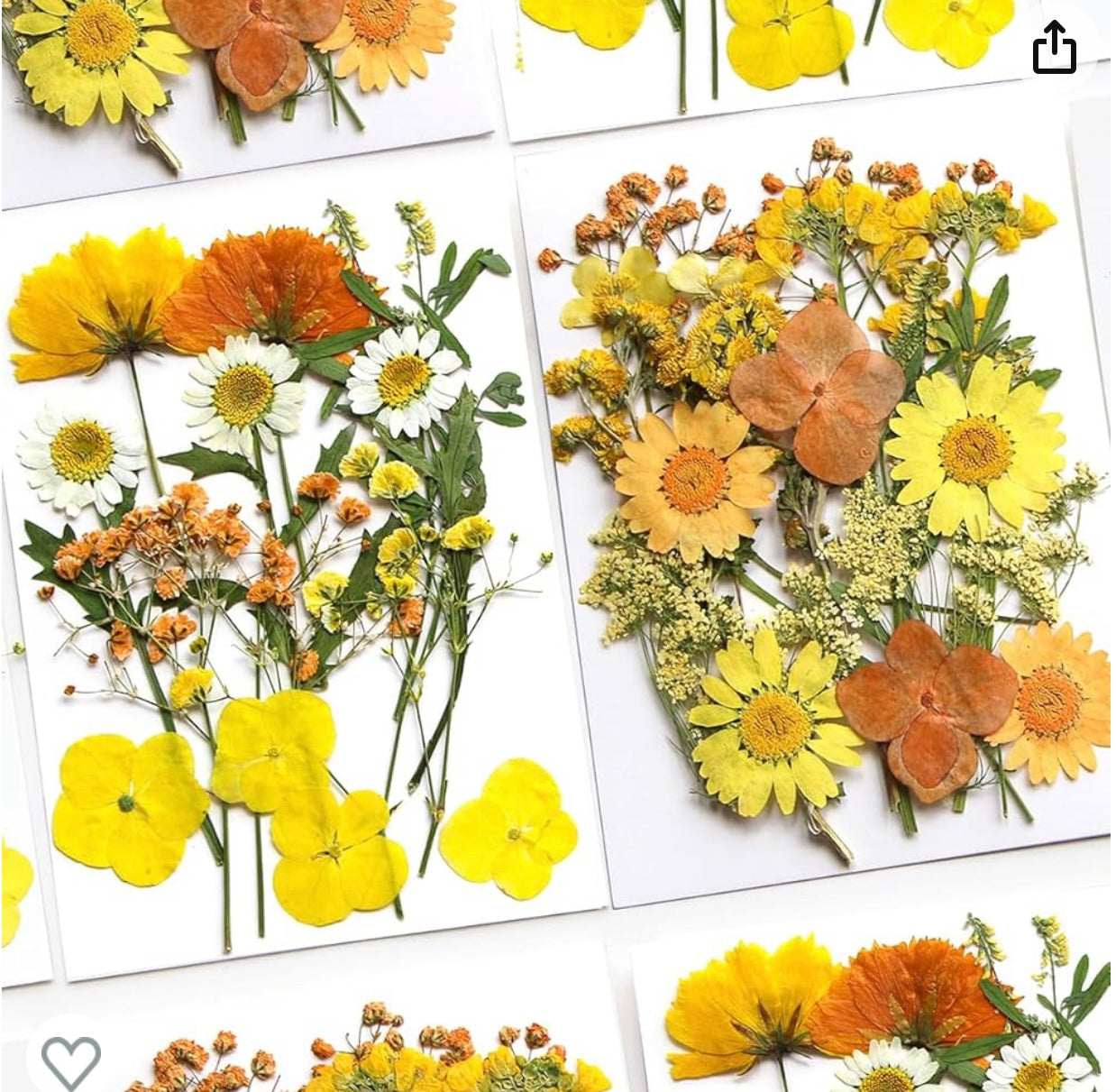 Dried Pressed Flowers, Natural Yellow Fall Pressed Flowers for Craft Bulk, Small Real Flowers Leaves Set for Resin DIY Art Scrapbooking Jewelry Candle Soap Making Supplies (Yellow)