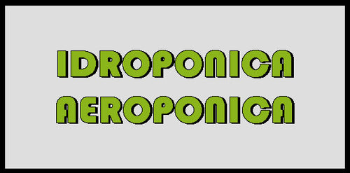 IDROPONICA-AEROPONICA.jpg__PID:c4dc7ec6-785c-406d-91f7-449dd93db246