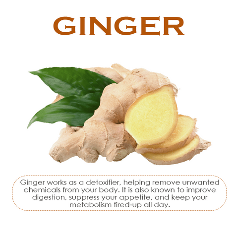 ATTDX AntiSwelling LympDetox GingerCream