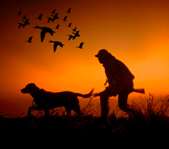 Hunter & Dog