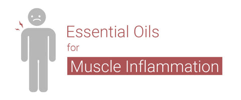 muscle inflammation