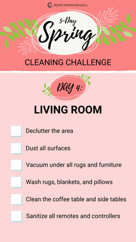 Spring Cleaning Challenge