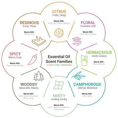 Top, Middle & Base Note Essential Oils with Blending Chart 