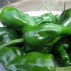 chilli pepper padron