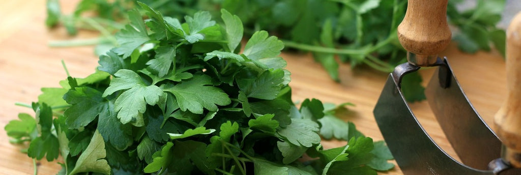 parsley growing guide