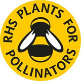 rhs perfect for pollinators