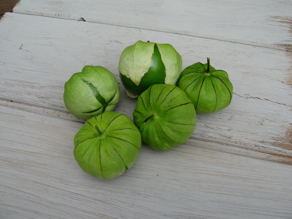 tomatillo verde growing guide