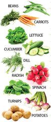 companion planting