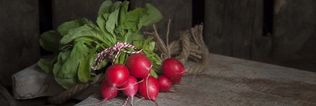 radish growing guide