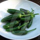 Jalapeno Chilli Seeds Quality Seeds From Sow Seeds Ltd