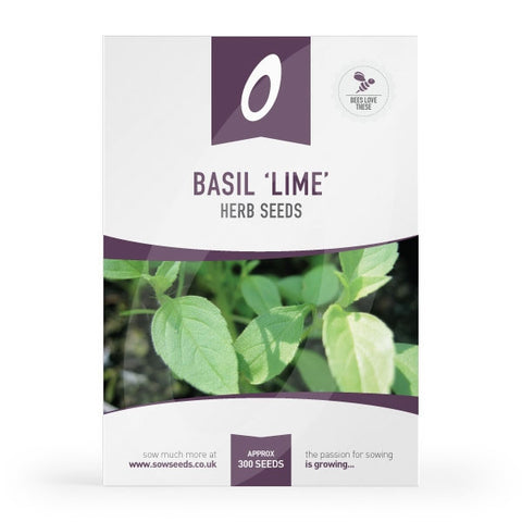 Basil Lime Herb Seeds 