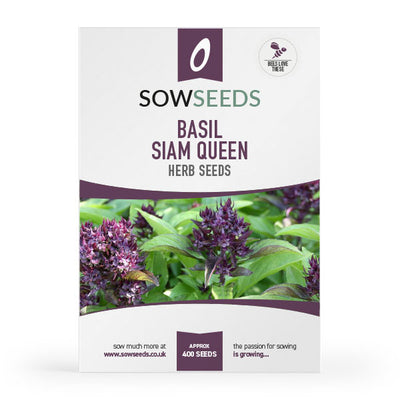 Herb Basil Sweet Thai Seeds Quality Seeds from Sow Seeds Ltd