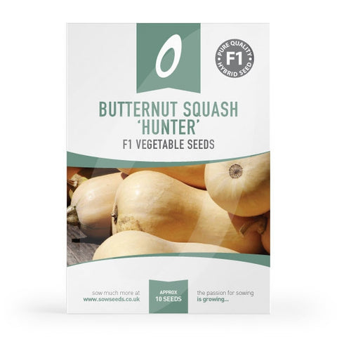 Butternut Squash Hunter F1 Seed Packet 