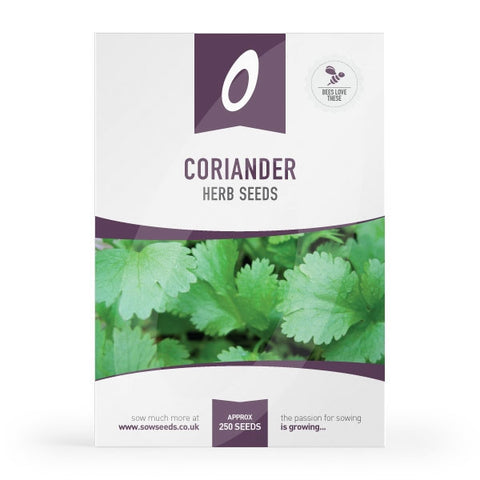 Coriander Herb Seeds 