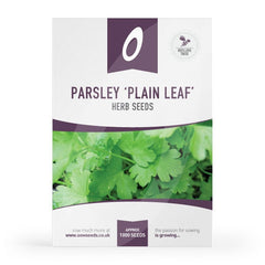 Parsley Plain Leaf Herb Seeds