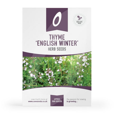 Thyme English Winter Herb Seeds 