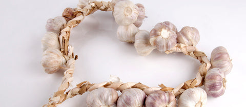 Close-up of fresh garlic cloves, the natural source of allicin, a compound studied for its potential heart-protective benefits